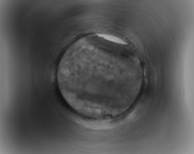 X0000094380032200711162139