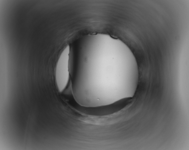 X0000094380033200711162139