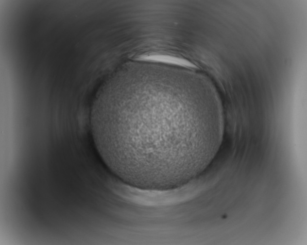 X0000094380034200711162139