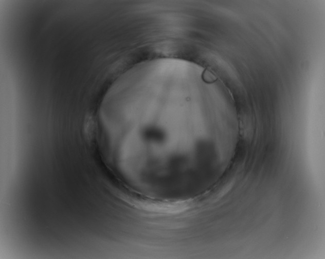 X0000094380036200711162139