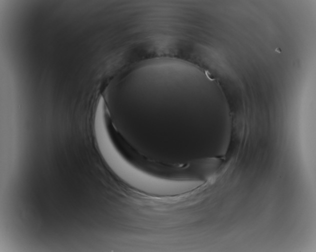 X0000094380039200711162139