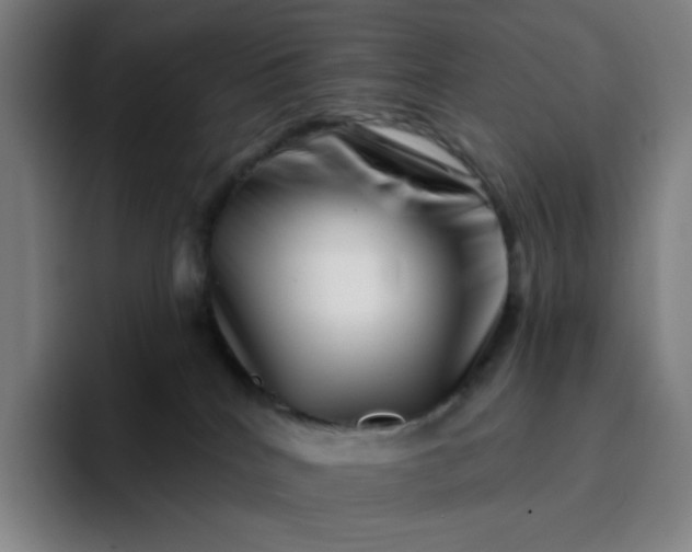 X0000094380040200711162139
