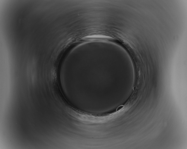 X0000094380048200711162139