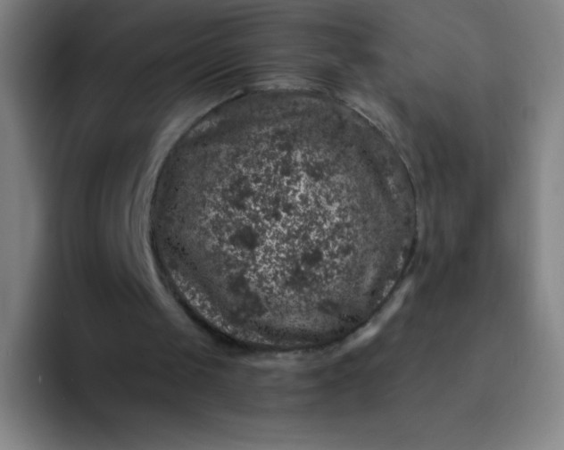 X0000094380049200711162139