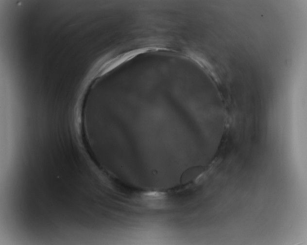 X0000094380053200711162139