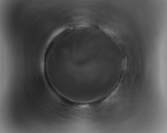 X0000094380054200711162139