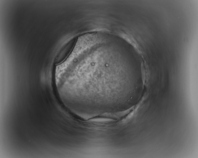 X0000094380055200711162139