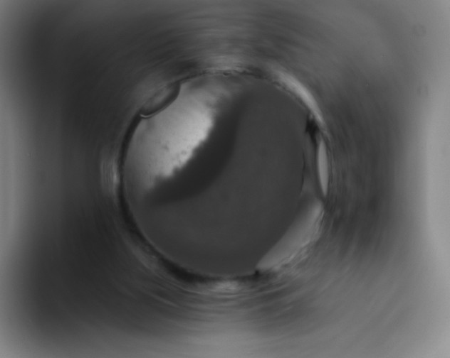 X0000094380059200711162139