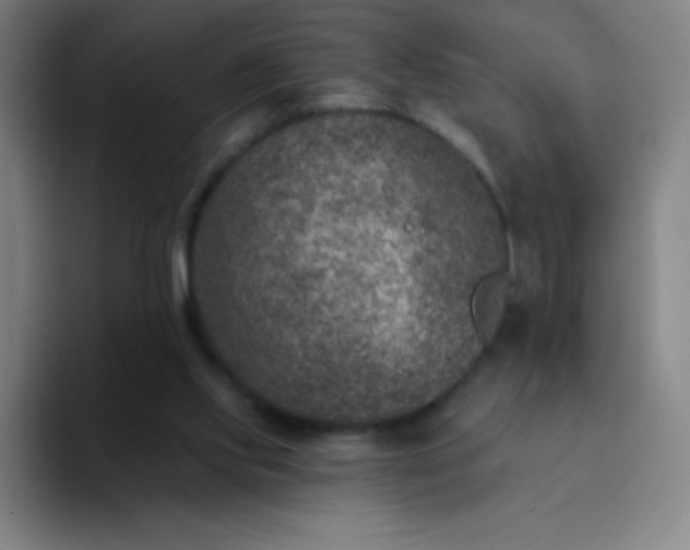 X0000094380061200711162139