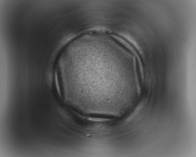 X0000094380063200711162139