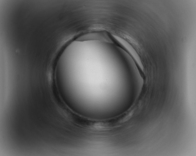 X0000094380064200711162139