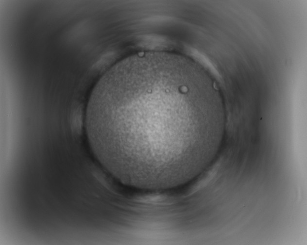 X0000094380065200711162139