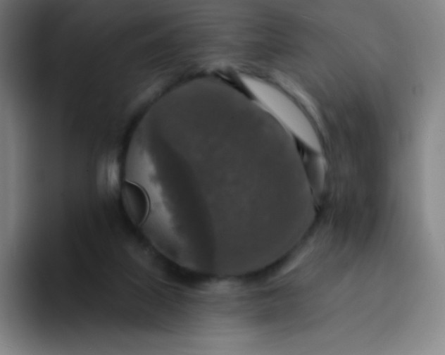 X0000094380067200711162139