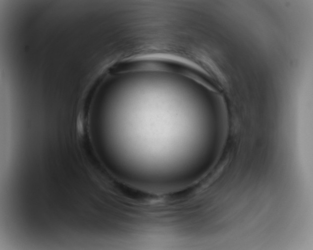 X0000094380068200711162139