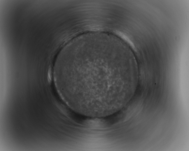 X0000094380069200711162139