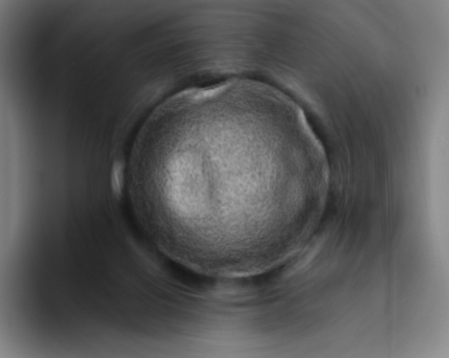X0000094380070200711162139