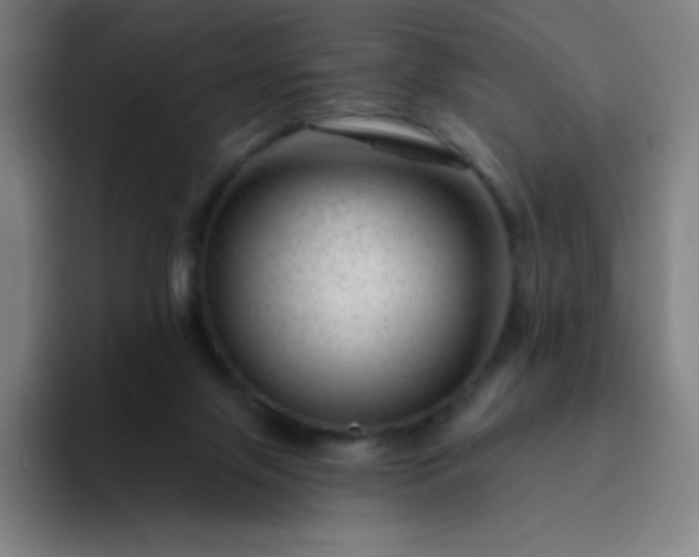X0000094380071200711162139