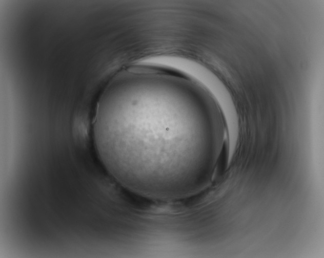 X0000094380072200711162139