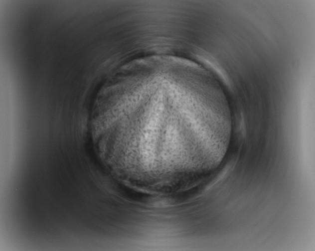 X0000094380073200711162139