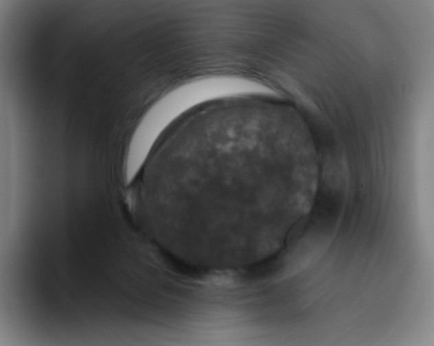 X0000094380076200711162139