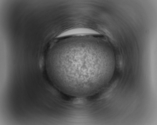 X0000094380077200711162139