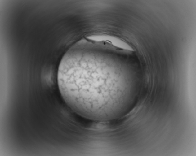 X0000094380078200711162139