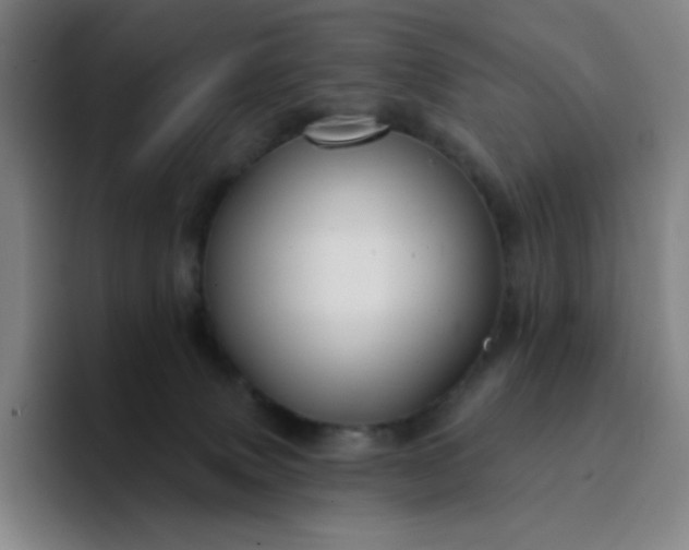 X0000094380083200711162139