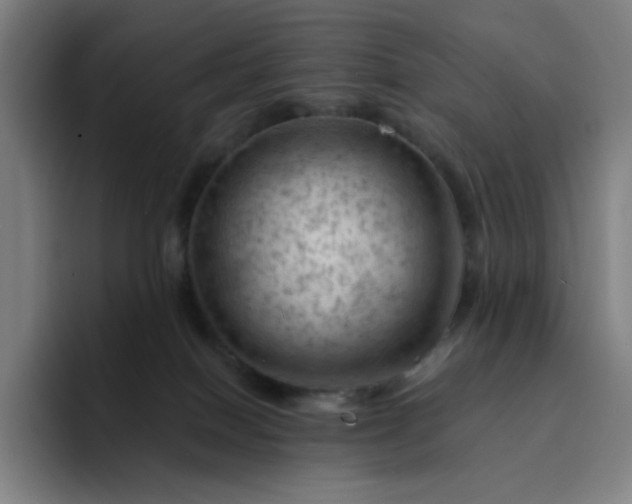 X0000094380086200711162139