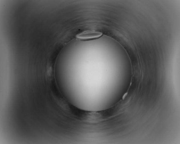 X0000094380087200711162139
