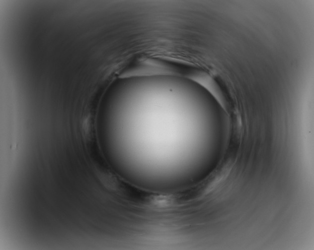 X0000094380088200711162139