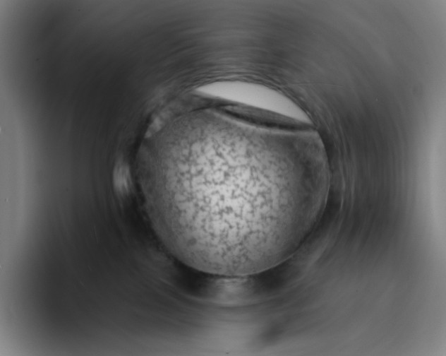 X0000094380089200711162139