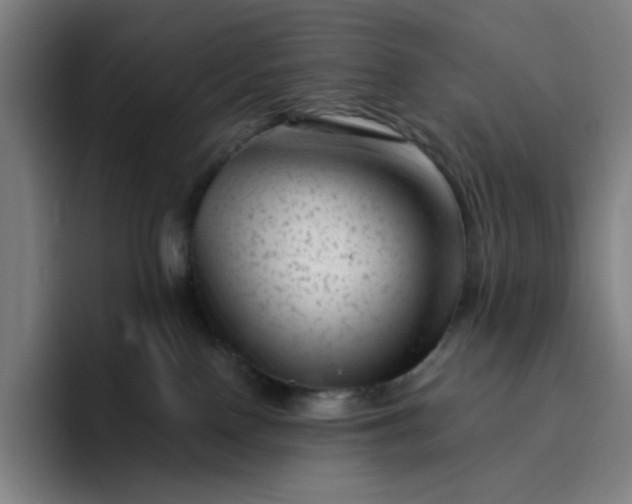 X0000094380090200711162139