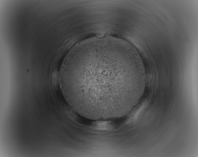 X0000094380093200711162139