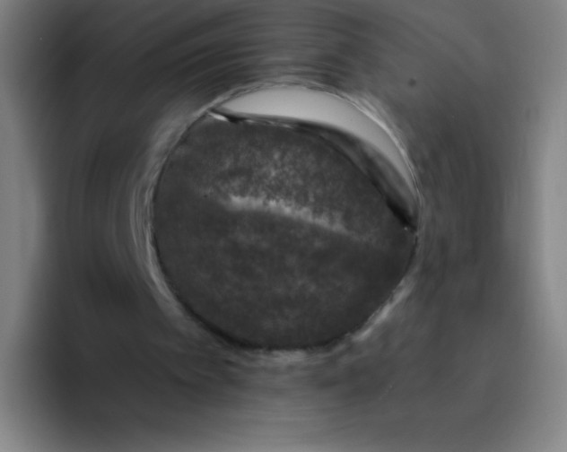 X0000094380097200711162139