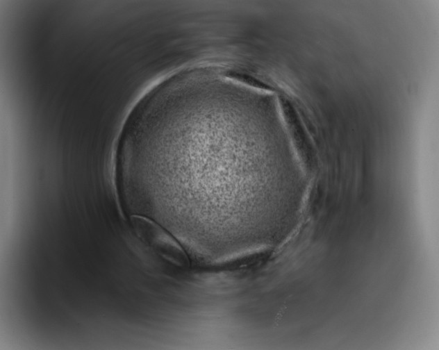X0000094380100200711162139