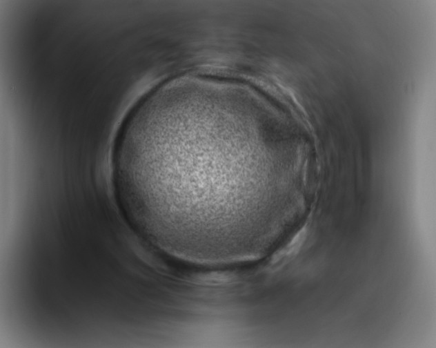 X0000094380102200711162139