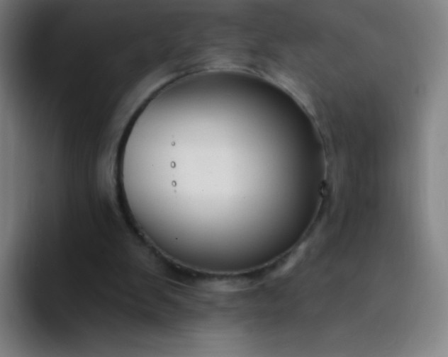 X0000094380103200711162139