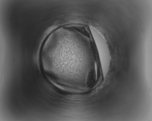 X0000094380104200711162139