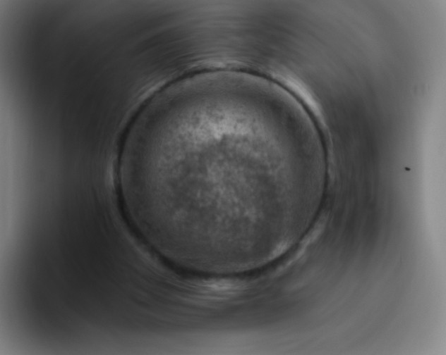 X0000094380105200711162138