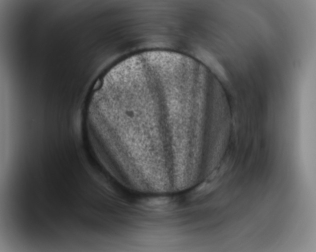 X0000094380108200711162138