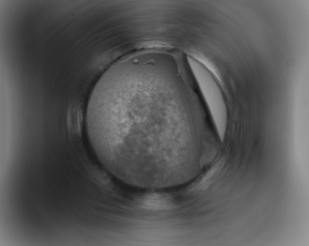 X0000094380109200711162138