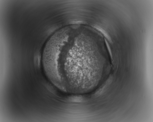 X0000094380110200711162138