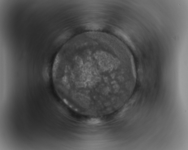 X0000094380114200711162138