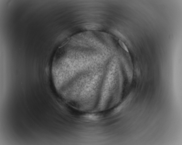 X0000094380117200711162138