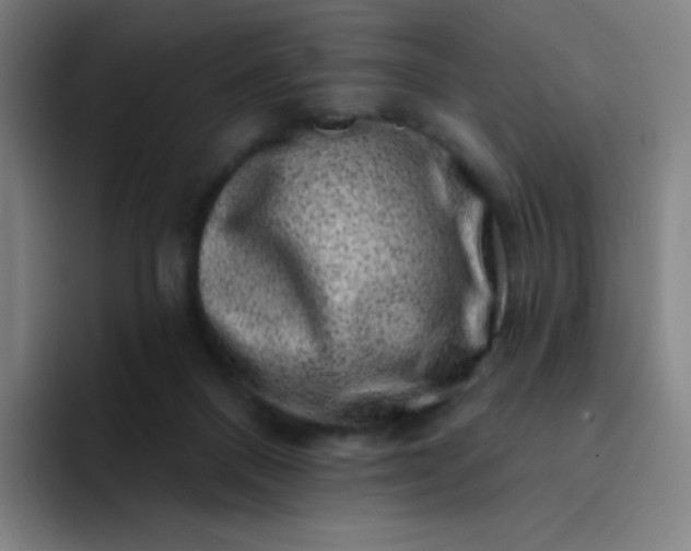 X0000094380120200711162138