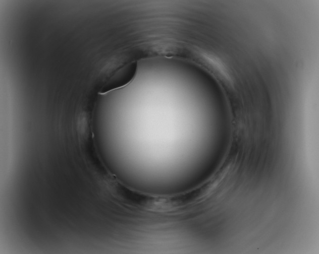 X0000094380121200711162138