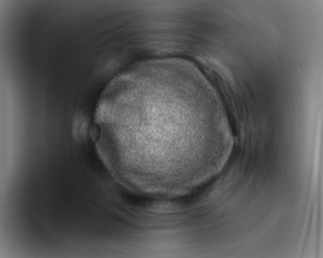 X0000094380123200711162138