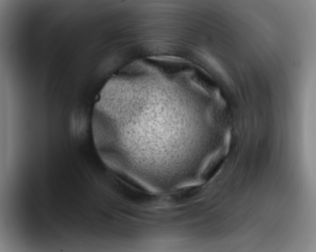 X0000094380124200711162138