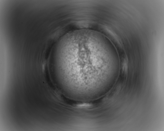 X0000094380125200711162138
