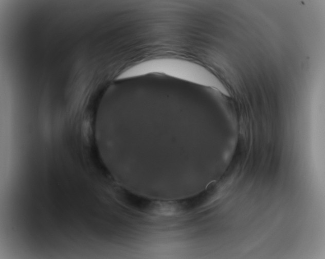 X0000094380127200711162138